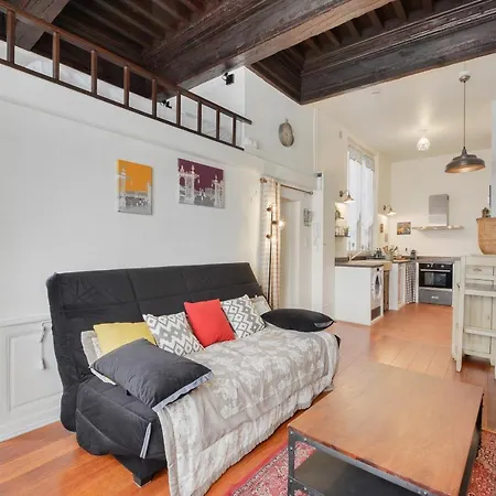 Apartment Le Cocon Des Deux Sirenes - Cosy Pour 2 A Nancy